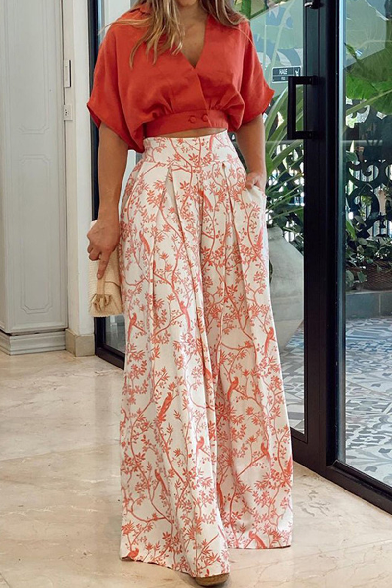 CONJUNTO BARNA